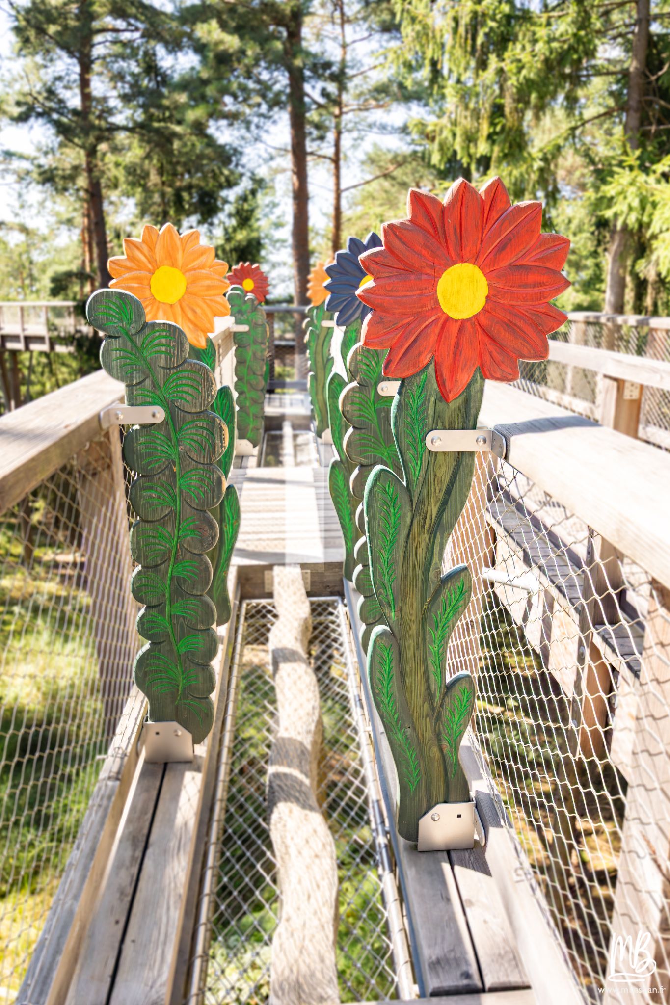 20250810 Le chemin des cimes MB 6